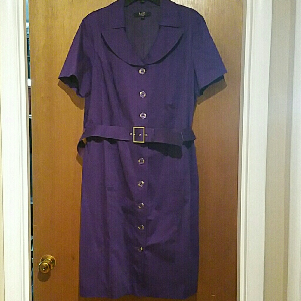 Purple shirt dress